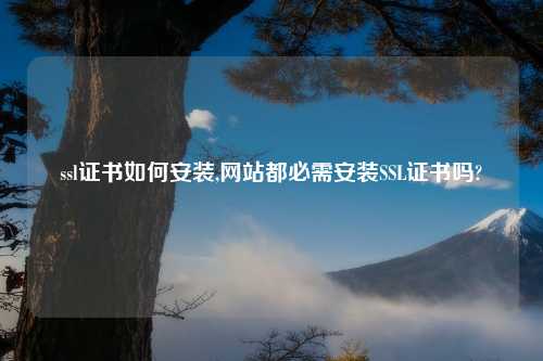ssl证书如何安装,网站都必需安装SSL证书吗?