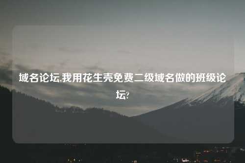 域名论坛,我用花生壳免费二级域名做的班级论坛?