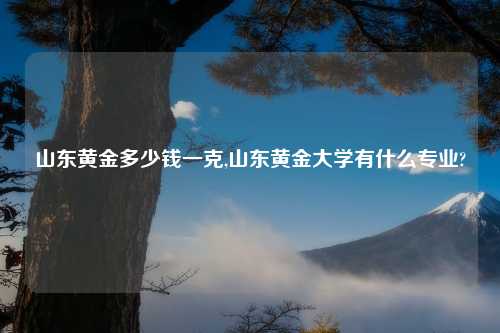 山东黄金多少钱一克,山东黄金大学有什么专业?