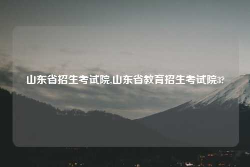 山东省招生考试院,山东省教育招生考试院3?