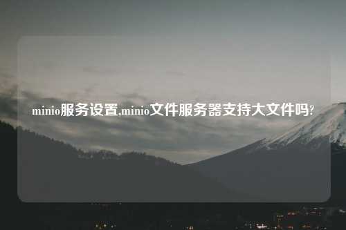 minio服务设置,minio文件服务器支持大文件吗?