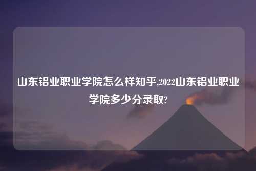 山东铝业职业学院怎么样知乎,2022山东铝业职业学院多少分录取?