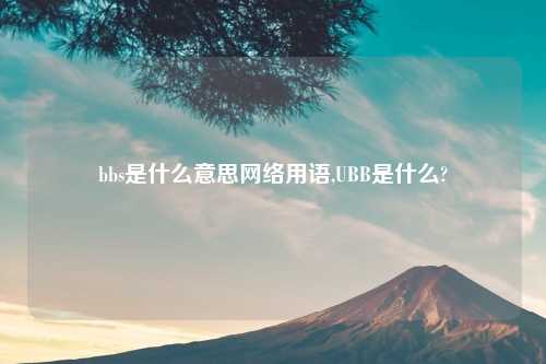 bbs是什么意思网络用语,UBB是什么?