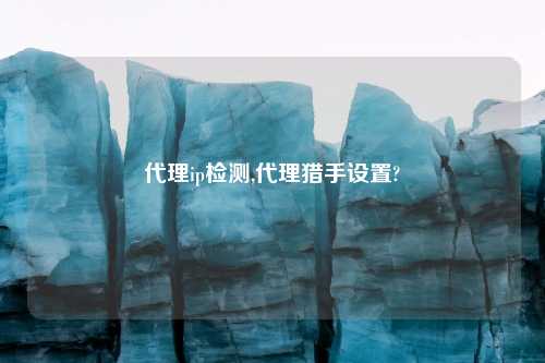 代理ip检测,代理猎手设置?