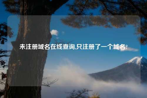 未注册域名在线查询,只注册了一个域名?