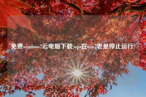 免费windows7云电脑下载,wps在win7老是停止运行?