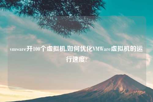vmware开100个虚拟机,如何优化VMWare虚拟机的运行速度?