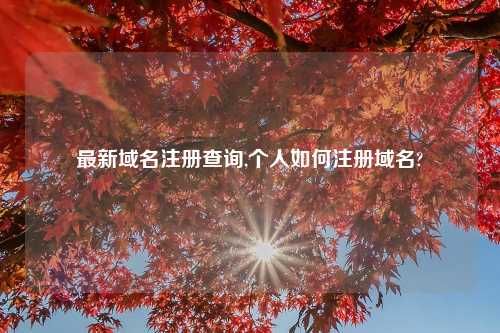 最新域名注册查询,个人如何注册域名?