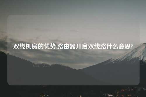双线机房的优势,路由器开启双线路什么意思?