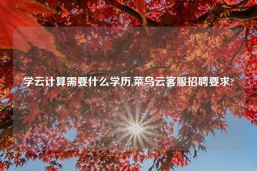 学云计算需要什么学历,菜鸟云客服招聘要求?