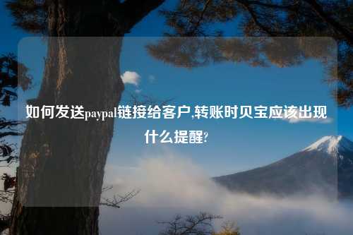 如何发送paypal链接给客户,转账时贝宝应该出现什么提醒?