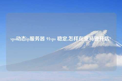 vps动态ip服务器 91vps 稳定,怎样在亚马逊开店?