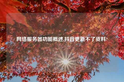 网络服务器功能概述,抖音更新不了资料?
