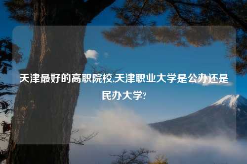 天津最好的高职院校,天津职业大学是公办还是民办大学?