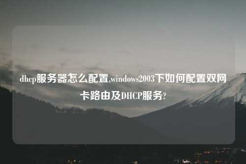 dhcp服务器怎么配置,windows2003下如何配置双网卡路由及DHCP服务?