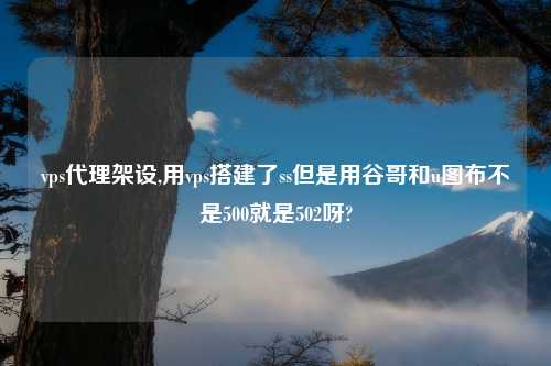 vps代理架设,用vps搭建了ss但是用谷哥和u图布不是500就是502呀?