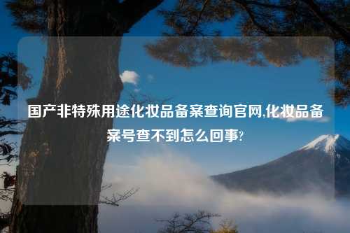 国产非特殊用途化妆品备案查询官网,化妆品备案号查不到怎么回事?