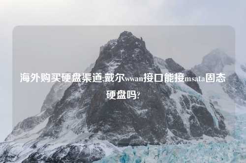 海外购买硬盘渠道,戴尔wwan接口能接msata固态硬盘吗?