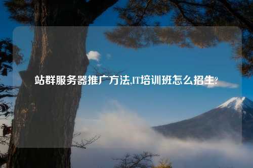 站群服务器推广方法,IT培训班怎么招生?