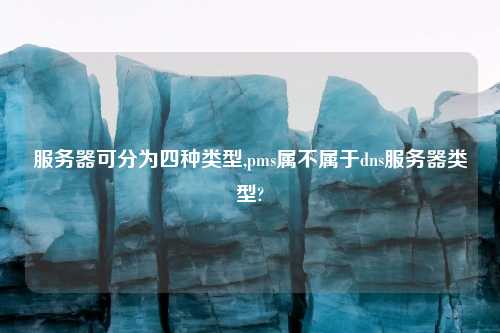 服务器可分为四种类型,pms属不属于dns服务器类型?