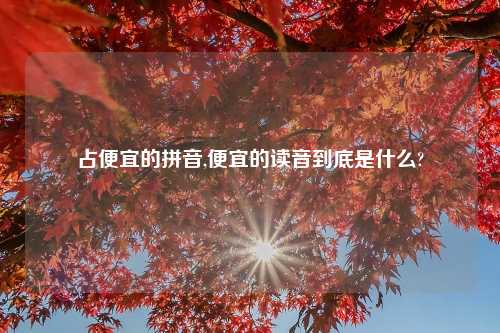 占便宜的拼音,便宜的读音到底是什么?