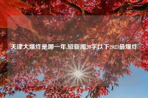 天津大爆炸是哪一年,短新闻20字以下2023最爆炸?