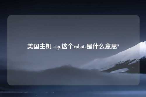 美国主机 asp,这个robots是什么意思?