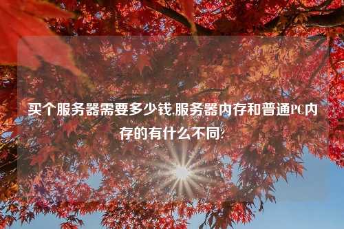 买个服务器需要多少钱,服务器内存和普通PC内存的有什么不同?