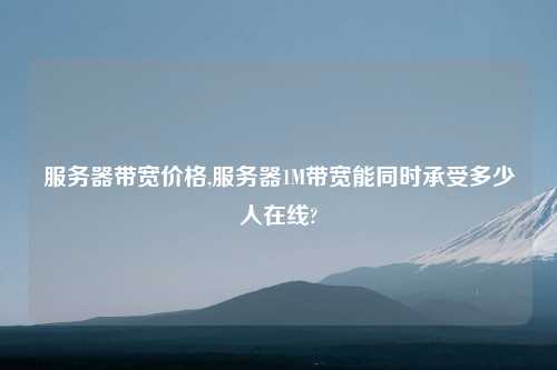 服务器带宽价格,服务器1M带宽能同时承受多少人在线?