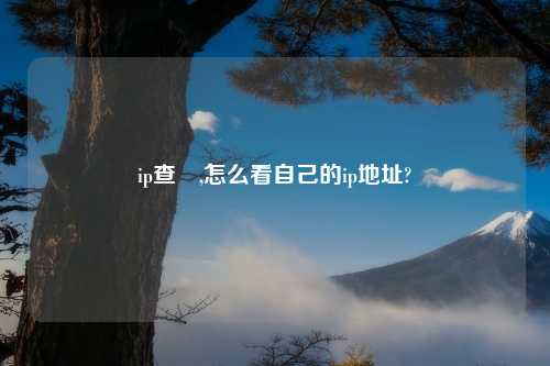 ip查詢,怎么看自己的ip地址?