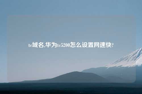 tc域名,华为tc5200怎么设置网速快?