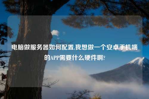 电脑做服务器如何配置,我想做一个安卓手机端的APP需要什么硬件啊?