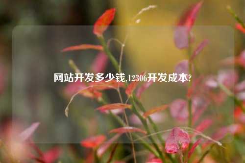 网站开发多少钱,12306开发成本?
