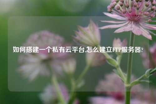 如何搭建一个私有云平台,怎么建立FTP服务器?