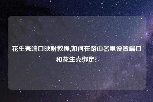 花生壳端口映射教程,如何在路由器里设置端口和花生壳绑定?