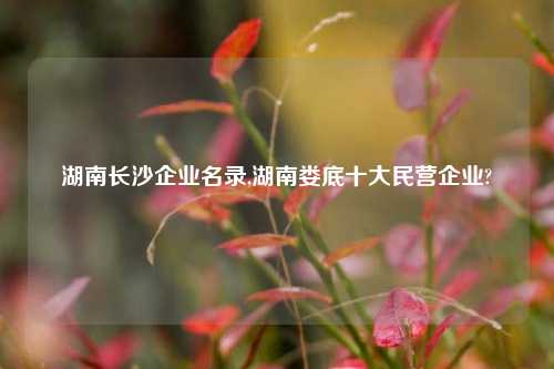 湖南长沙企业名录,湖南娄底十大民营企业?