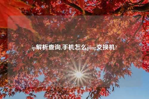 ip解析查询,手机怎么ping交换机?