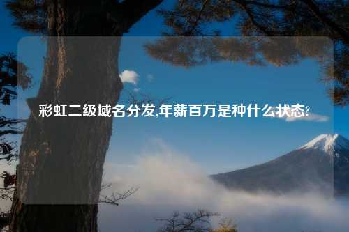 彩虹二级域名分发,年薪百万是种什么状态?
