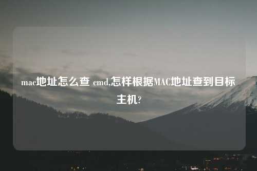 mac地址怎么查 cmd,怎样根据MAC地址查到目标主机?