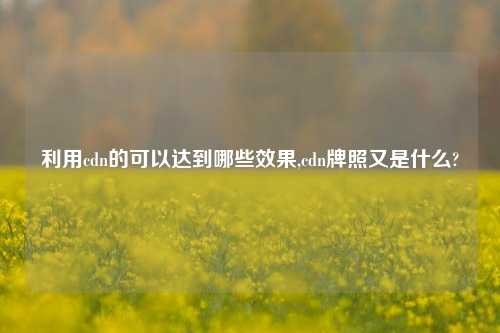 利用cdn的可以达到哪些效果,cdn牌照又是什么?