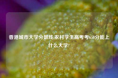 香港城市大学分数线,农村学生高考考650分能上什么大学?