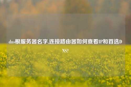 dns根服务器名字,连接路由器如何查看IP和首选DNS?