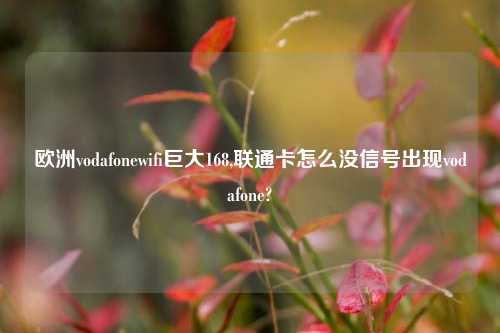欧洲vodafonewifi巨大168,联通卡怎么没信号出现vodafone?