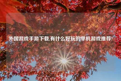 外国游戏手游下载,有什么好玩的单机游戏推荐?