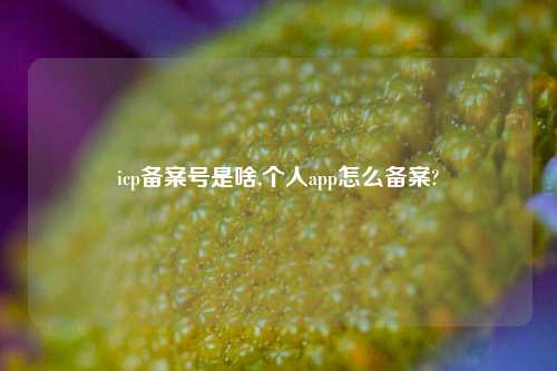 icp备案号是啥,个人app怎么备案?