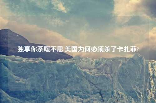 独享你茶暖不思,美国为何必须杀了卡扎菲?