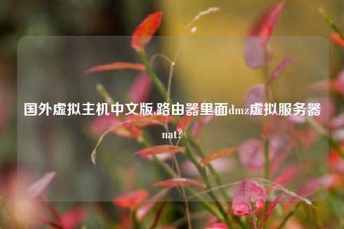 国外虚拟主机中文版,路由器里面dmz虚拟服务器nat?