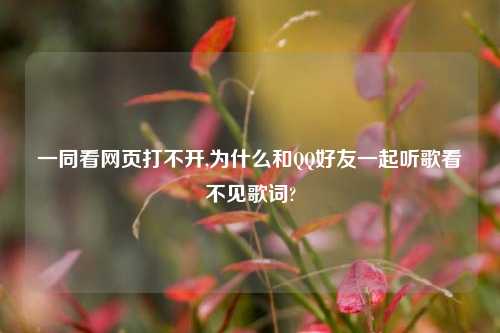 一同看网页打不开,为什么和QQ好友一起听歌看不见歌词?