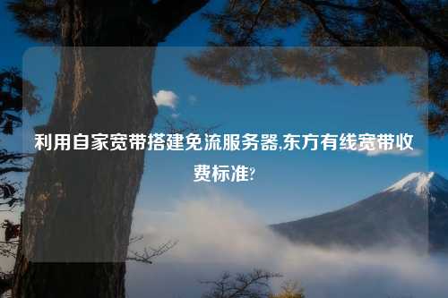 利用自家宽带搭建免流服务器,东方有线宽带收费标准?