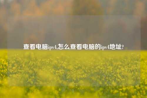 查看电脑ipv4,怎么查看电脑的ipv4地址?